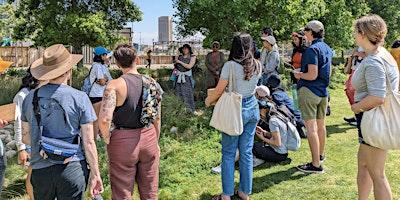 giving-back-to-mother-nature-a-foraging-fundraiser-for-local-orgs-event image