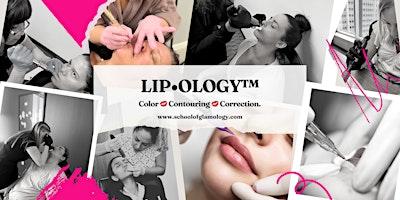 new-haven-lipologytm-volume-color-contouring-correction-3-day-class-event image