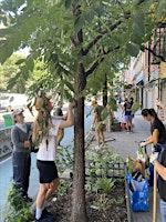 street-tree-care-with-new-brown-memorial-baptist-church-event image