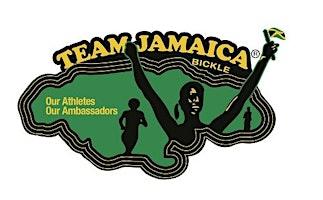 team-jamaica-bickles-independence-gala-event image